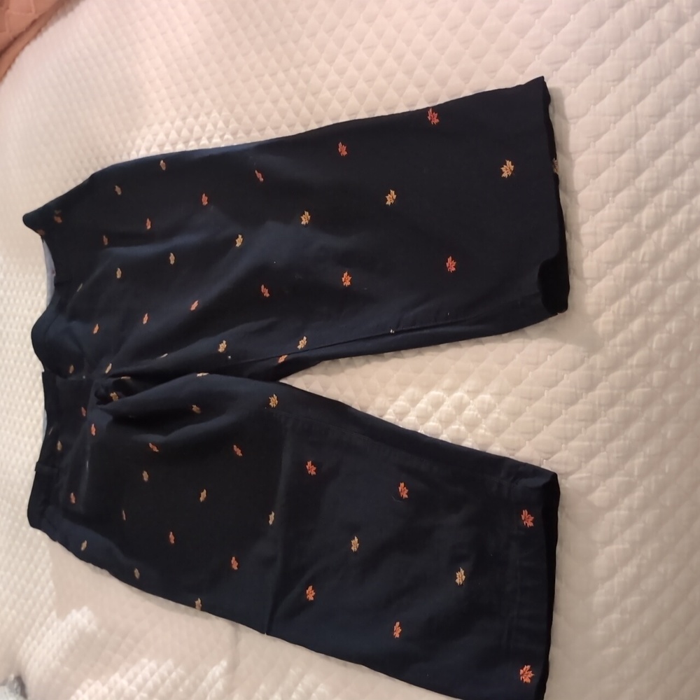 Talbot's fall leaves on navy chino pants